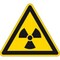 Pictogram 304 triangle - “Radioactive substance-ionizing radiation”